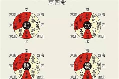 东四命离命人|何为东四命、西四命？怎么算？看这一篇就够了！